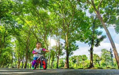 Full length of girl riding tricycle on road against tree