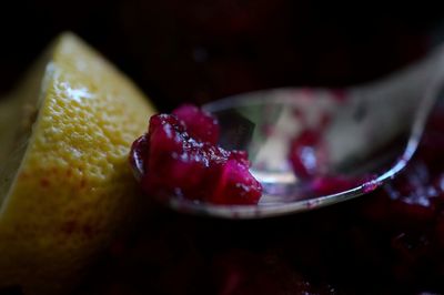 Close-up of food