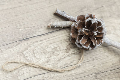 High angle view of pine cone on table