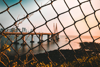 Close-up of chainlink fence