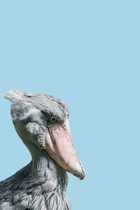 Low angle view of bird against clear blue background