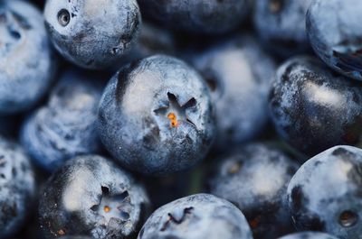 Close-up of blueberries