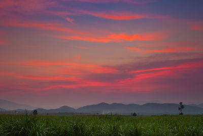 Scenic view of field against sky during sunset