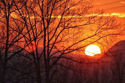 Low angle view of silhouette bare trees against orange sky