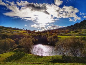 Scenic view of field against sky