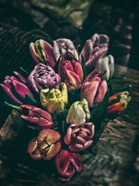 Close-up of flowers