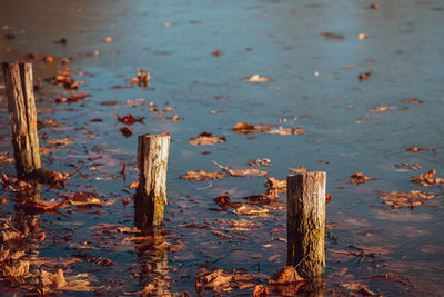 High angle view of wooden posts on lake