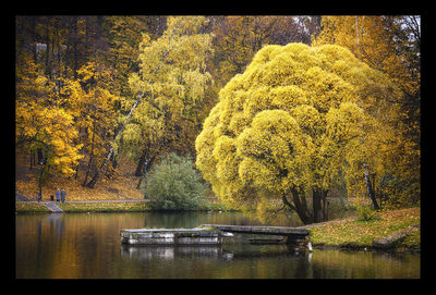 Scenic view of lake against trees during autumn