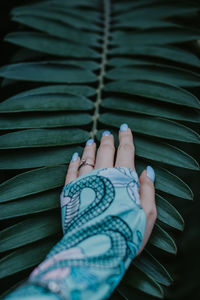 Female hand touching exotic branch of tropical green palm 