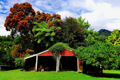 Tree by house against sky