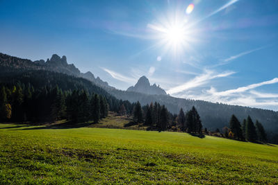 Scenic view of landscape against sky