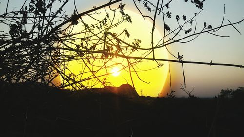 Silhouette bare tree against sky during sunset