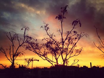 Low angle view of silhouette trees against cloudy sky