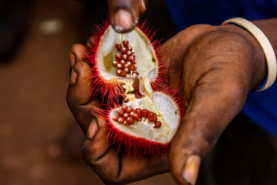 Close-up of man holding fruit