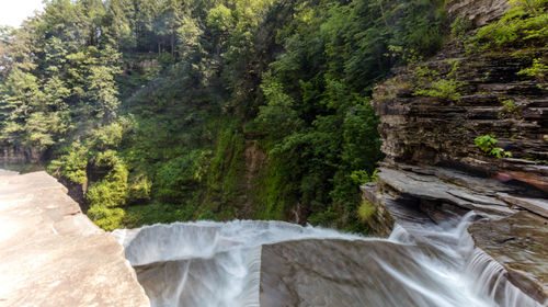 Scenic view of waterfall in forest