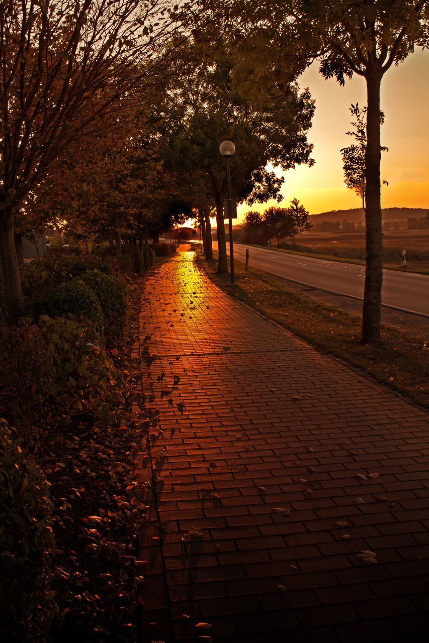 FOOTPATH IN PARK DURING SUNSET
