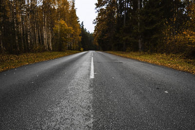 Empty asphalt road and beautiful colorful forest in autumn