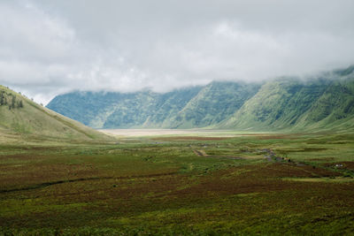 Scenic view of landscape against sky