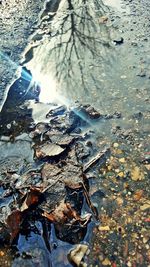 High angle view of water falling on rocks