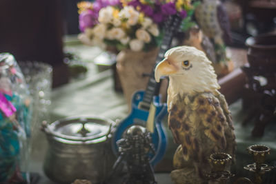 Close-up of parrot perching on flower