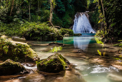 Scenic view of waterfall in forest