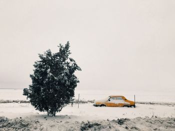 Tree on snow covered field against clear sky