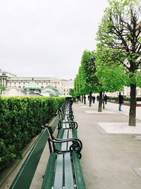 Trees in city against sky