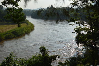 Scenic view of river in forest against sky