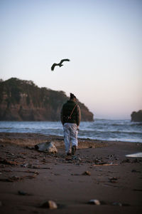 Rear view of man walking on beach