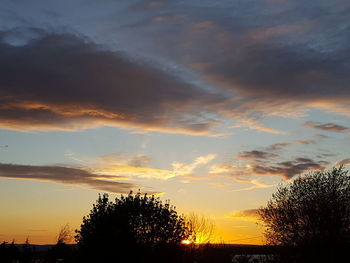 Silhouette of tree against dramatic sky