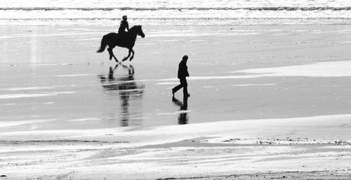 People on beach