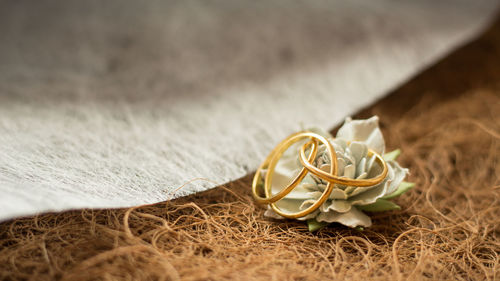 High angle view of wedding rings on plant