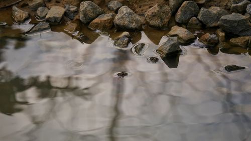 Close-up of water