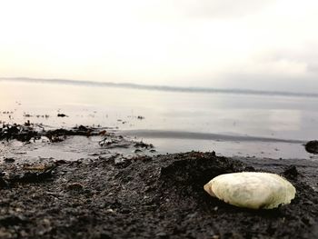 Close-up of sea against sky