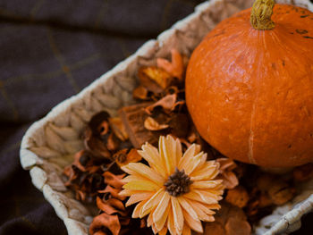 Close-up of orange pumpkins on autumn leaves