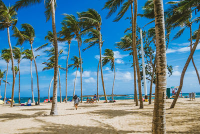 Palm trees on beach against blue sky
