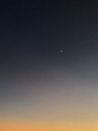 Low angle view of moon in sky at night