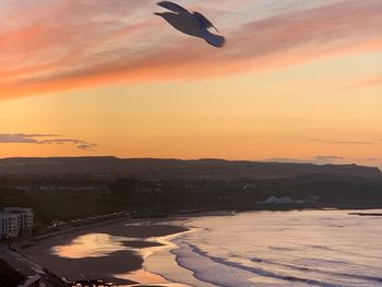 Bird flying over sea against orange sky