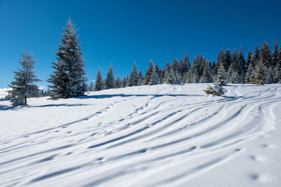 Snow covered field against clear sky