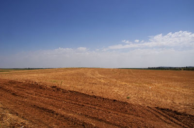 Scenic view of field against sky