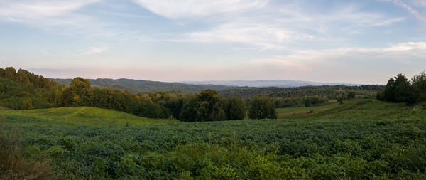 Scenic view of landscape against sky