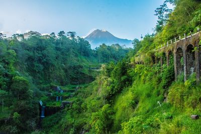 Scenic view of green landscape against sky