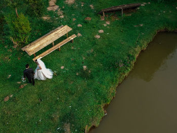 High angle view of lizard on field