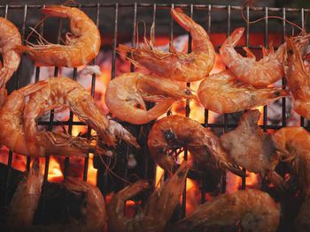 Close-up of orange for sale