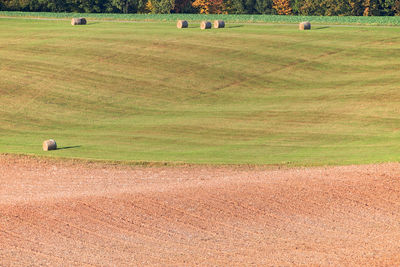 Scenic view of golf course