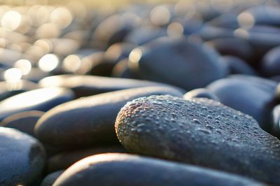 Full frame shot of pebbles
