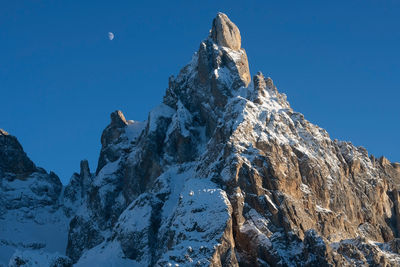 Low angle view of animal on rock against blue sky