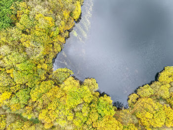 Drone photos of a lake and forest in east yorkshire, uk. autumn colours and stunning sky reflections