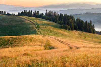 A winding country road lies on the crest of a hill in the carpathians 