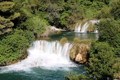 Scenic view of waterfall in forest